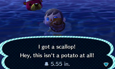 I got a scallop! Hey, this isn't a potato at all!