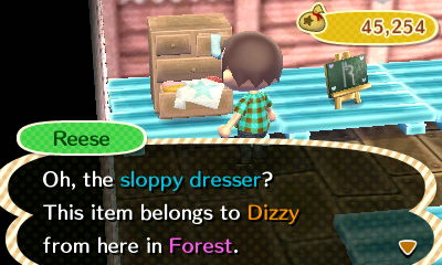 Reese: Oh, the sloppy dresser? This item belongs to Dizzy from here in Forest.