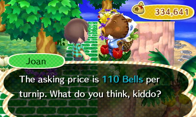 Joan: The asking price is 110 bells per turnip. What do you think, kiddo?
