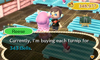 Reese: Currently, I'm buying each turnip for 343 bells.
