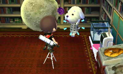 Giving Daisy some medicine.