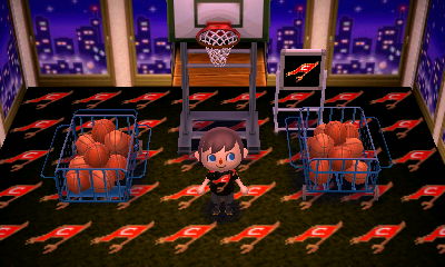 My Cavs/basketball themed room.