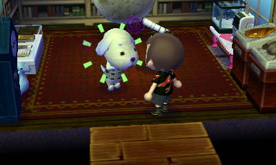 Giving Daisy some medicine.