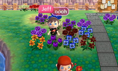 Merka's purple tulips and other flowers.