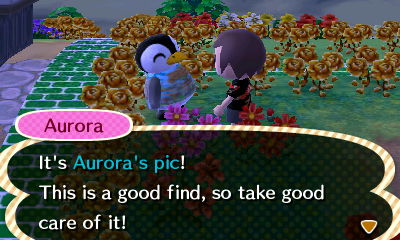 Aurora: It's Aurora's pic! This is a good find, so take good care of it!