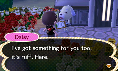 Daisy: I've got something for you too, it's ruff. Here.