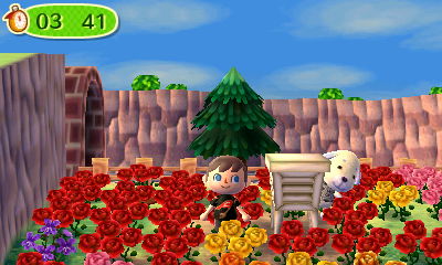 Daisy hiding behind the instrument shelter.