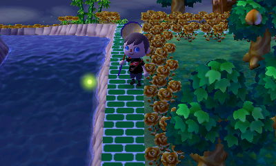 It's firefly season!