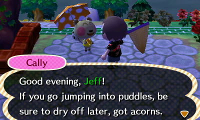 Cally: Good evening, Jeff! If you go jumping into puddles, be sure to dry off later.