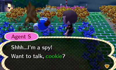 Agent S: Shhh...I'm a spy! Want to talk, cookie?