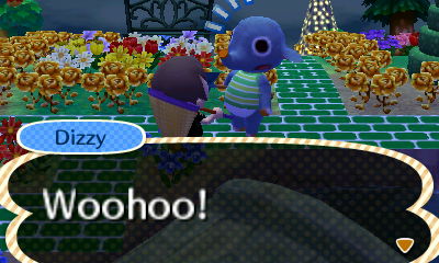 Dizzy: Woohoo!