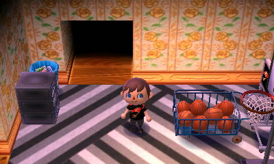 A rose wall and stripe carpet.