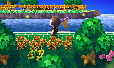 Fireflies out in broad daylight, thanks to the summer solstice.