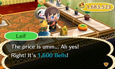 Leif: The price is umm... Ah yes! Right! It's 1,600 bells!