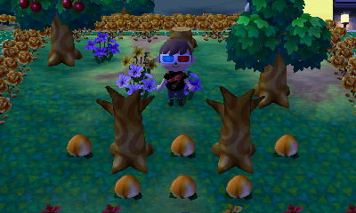 Two dead peach trees side-by-side.