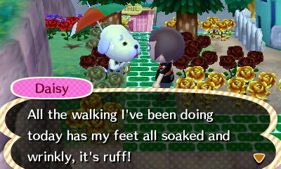 Daisy: All the walking I've been doing today has my feet all soaked and wrinkly, it's ruff!