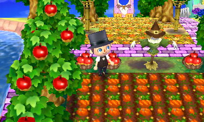 A pumpkin patch and scarecrow in Joy.