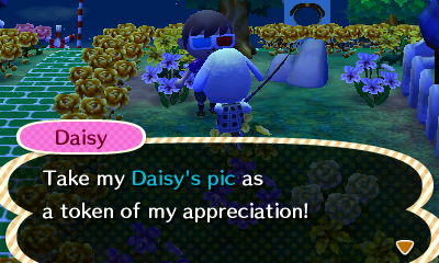 Daisy: Take my Daisy's pic as a token of my appreciation!