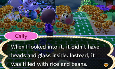 Cally: When I looked into it, it didn't have beads and glass inside. Instead, it was filled with rice and beans.