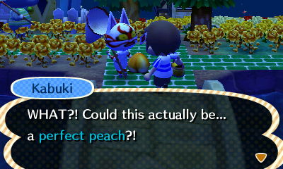 Kabuki: WHAT?! Could this actually be... a perfect peach?!