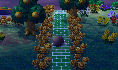 Me falling on my face.