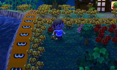 Me trying to talk to a tree?