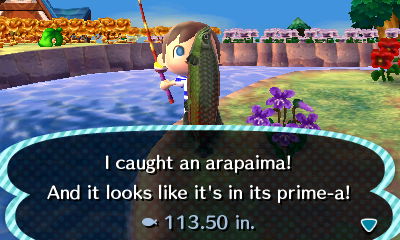 I caught an arapaima! And it looks like it's in its prime-a!