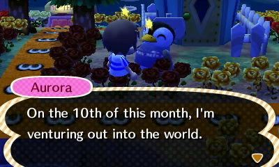 Aurora: On the 10th of this month, I'm venturing out into the world.