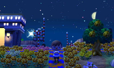 Wishing on a shooting star.