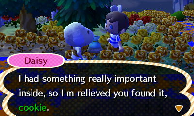 Daisy: I had something really important inside, so I'm relieved you found it, cookie.