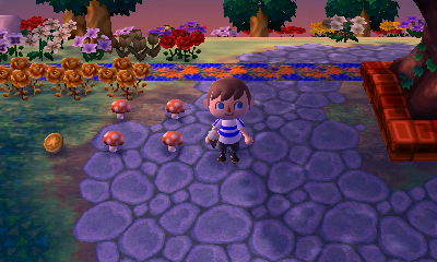 The goodies I've left for dream visitors.