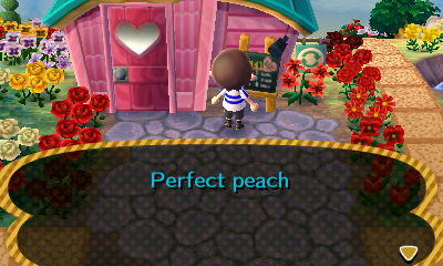Re-Tail sign: Perfect peach.