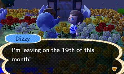 Dizzy: I'm leaving on the 19th of this month!