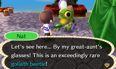 Nat: Let's see here... By my great-aunt's glasses! This is an exceedingly rare goliath beetle!