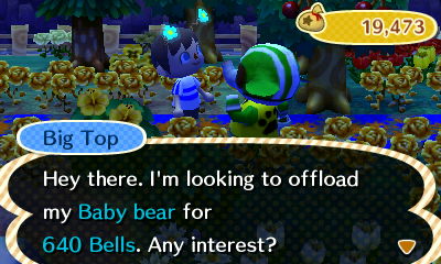 Big Top: Hi there. I'm looking to offload my baby bear for 640 bells. Any interest?