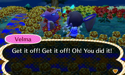 Velma: Get it off! Get it off! Oh! You did!