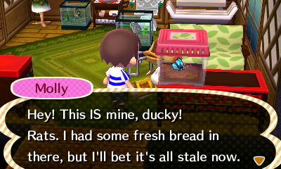 Molly: Hey! This IS mine! Rats, I had some fresh bread in there, but I'll bet it's all stale now.
