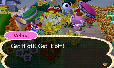 Velma: Get it off! Get it off!