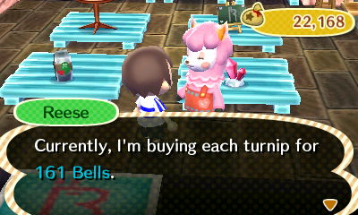 Reese: Currently, I'm buying each turnip for 161 bells.