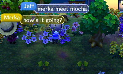 Jeff: Merka, meet mocha.