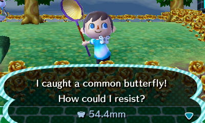 I caught a common butterfly! How could I resist?