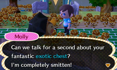 Molly: Can we talk for a second about your fantastic exotic chest? I'm completely smitten!