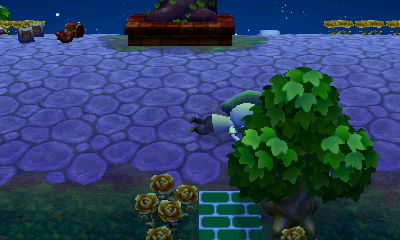 Me falling on my face at the event plaza.