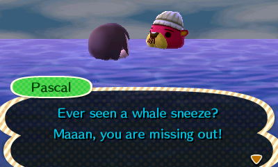 Pascal: Ever seen a whale sneeze? Maaan, you are missing out!