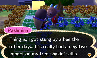 Pashmina: Thing is, I got stung by a bee the other day... It's really had a negative impact on my tree-shakin' skills.