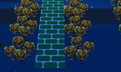 My gold roses and green path...but no ground!