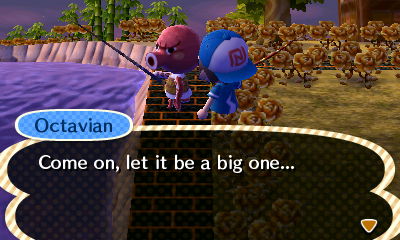 Octavian: Come on, let it be a big one...
