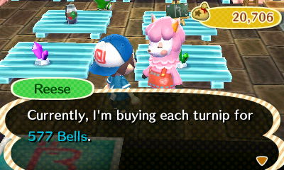 Reese: Currently, I'm buying each turnip for 577 bells.