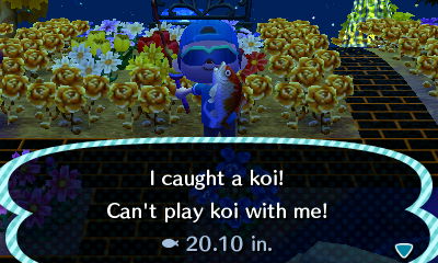 I caught a koi! Can't play koi with me!