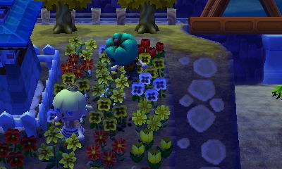 Watering flowers in Tomville.